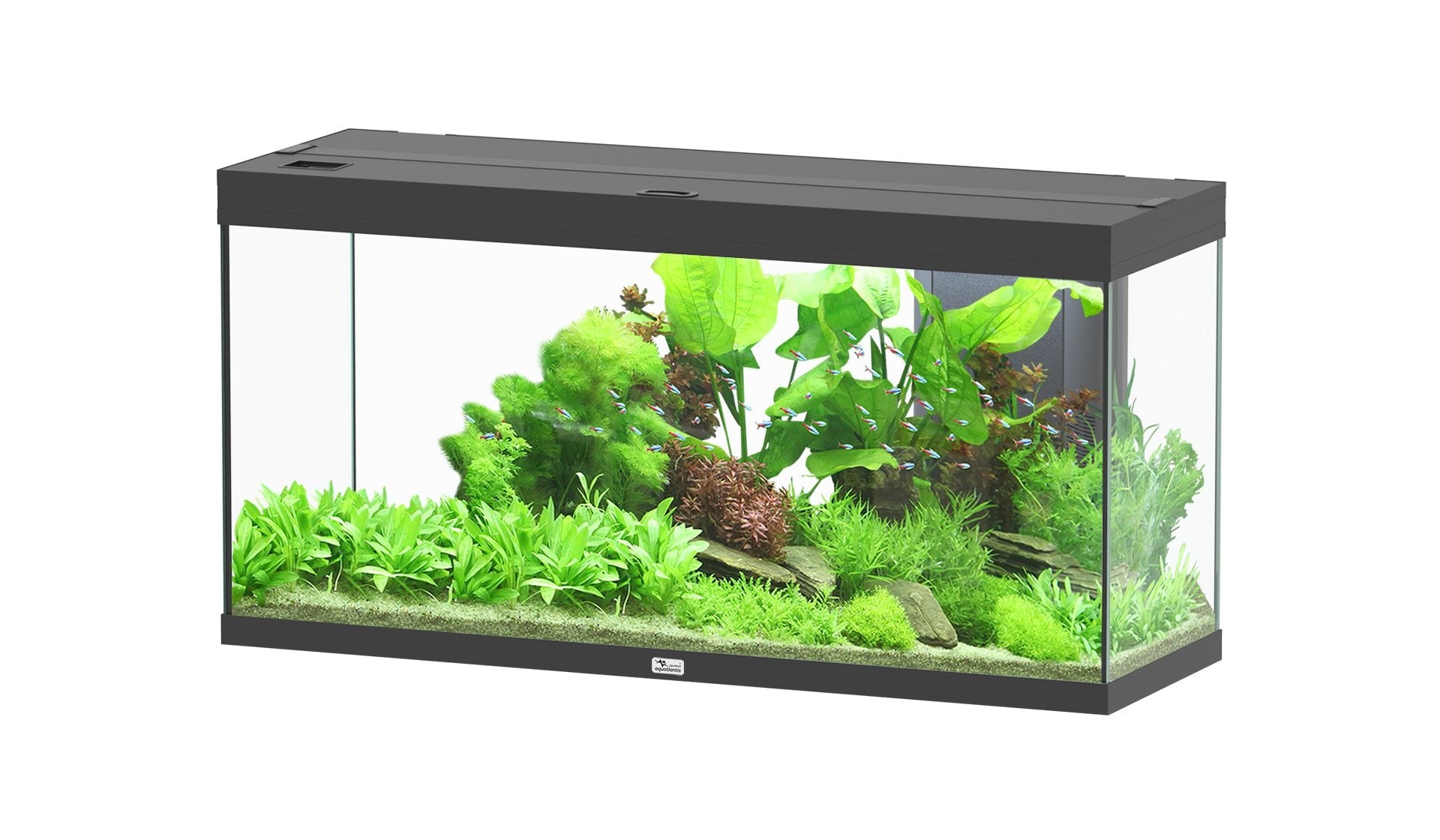 Aquatlantis Splendid Ultra 120 - Perfect Aquatics Ltd