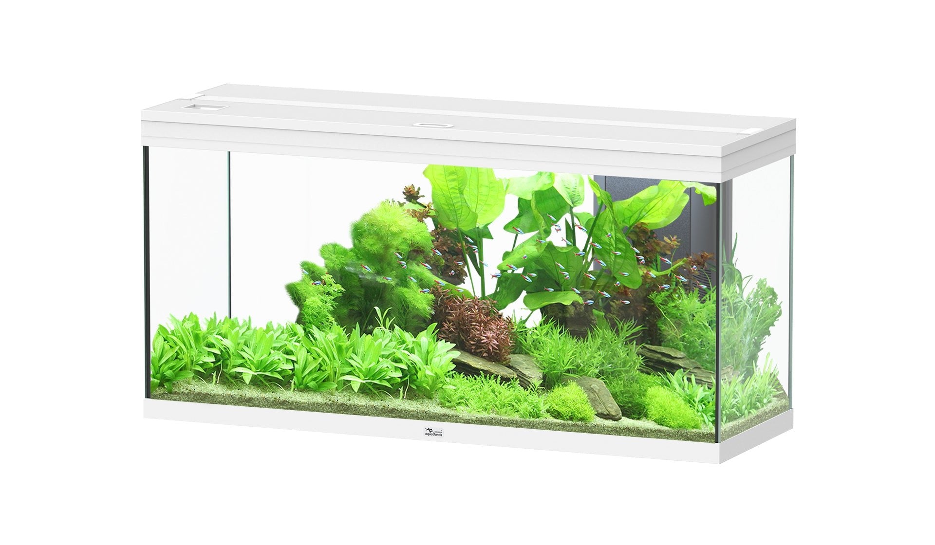 Aquatlantis Splendid Ultra 120 - Perfect Aquatics Ltd