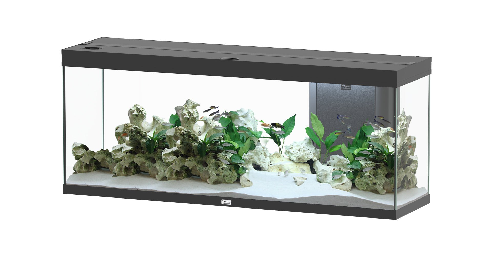Aquatlantis Splendid Ultra 150 - Perfect Aquatics Ltd