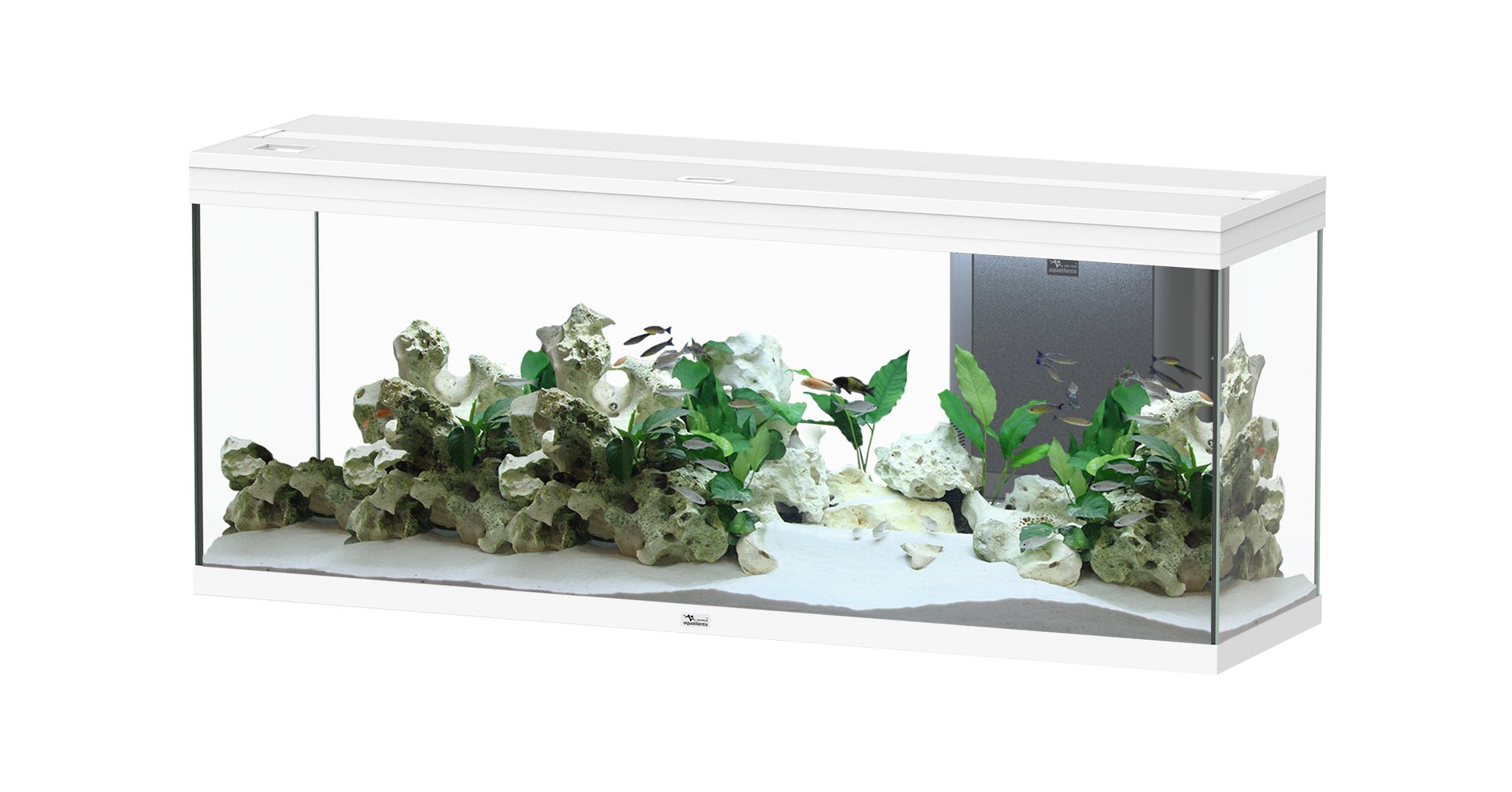 Aquatlantis Splendid Ultra 150 - Perfect Aquatics Ltd