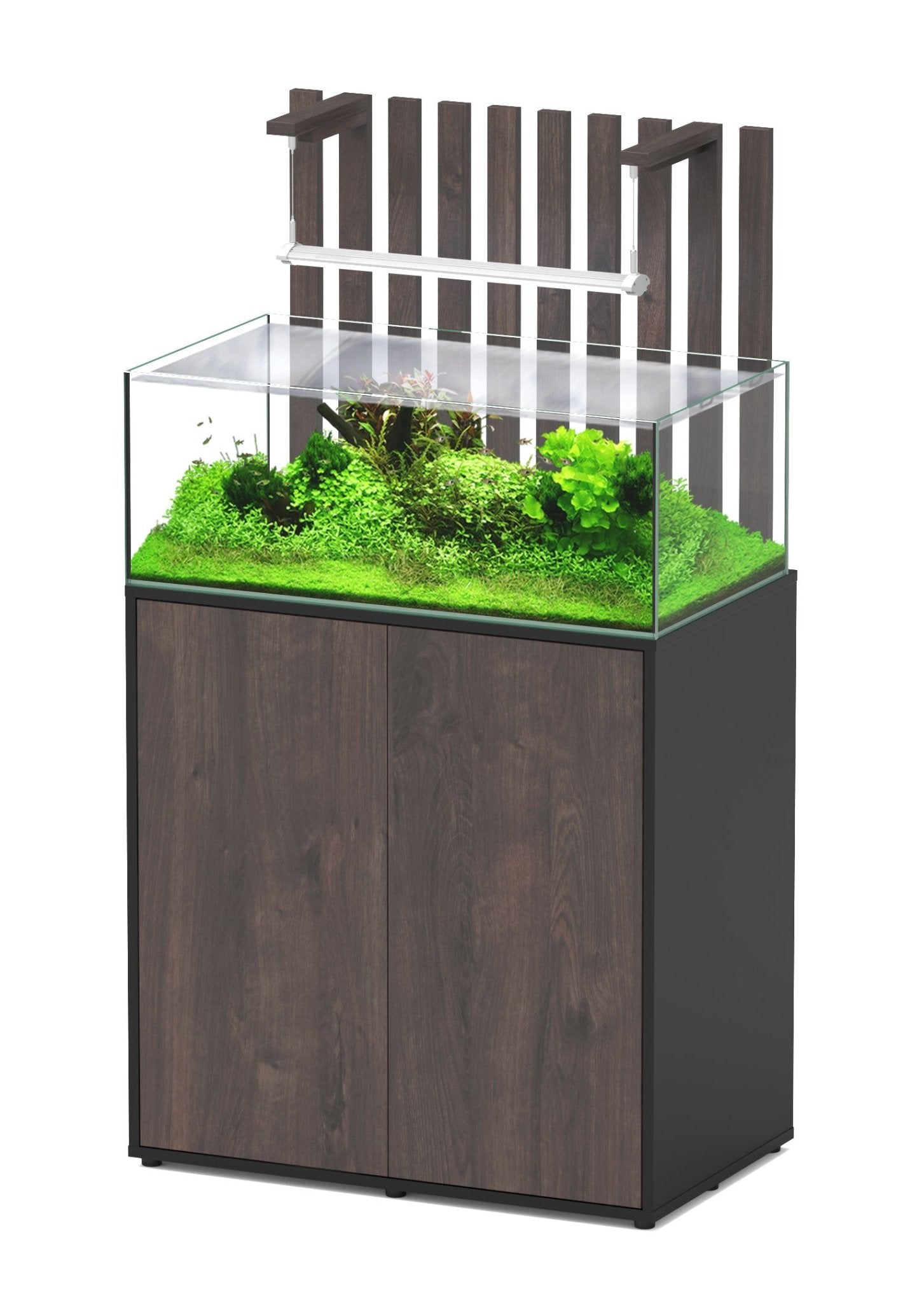 Aquatlantis Shallow Aquascape 80 - Perfect Aquatics Ltd