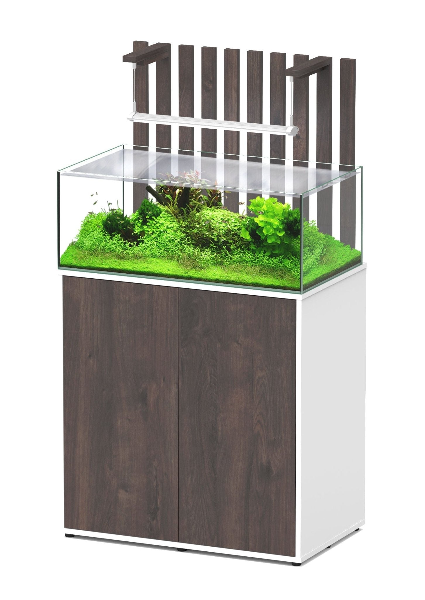 Aquatlantis Shallow Aquascape 80 - Perfect Aquatics Ltd