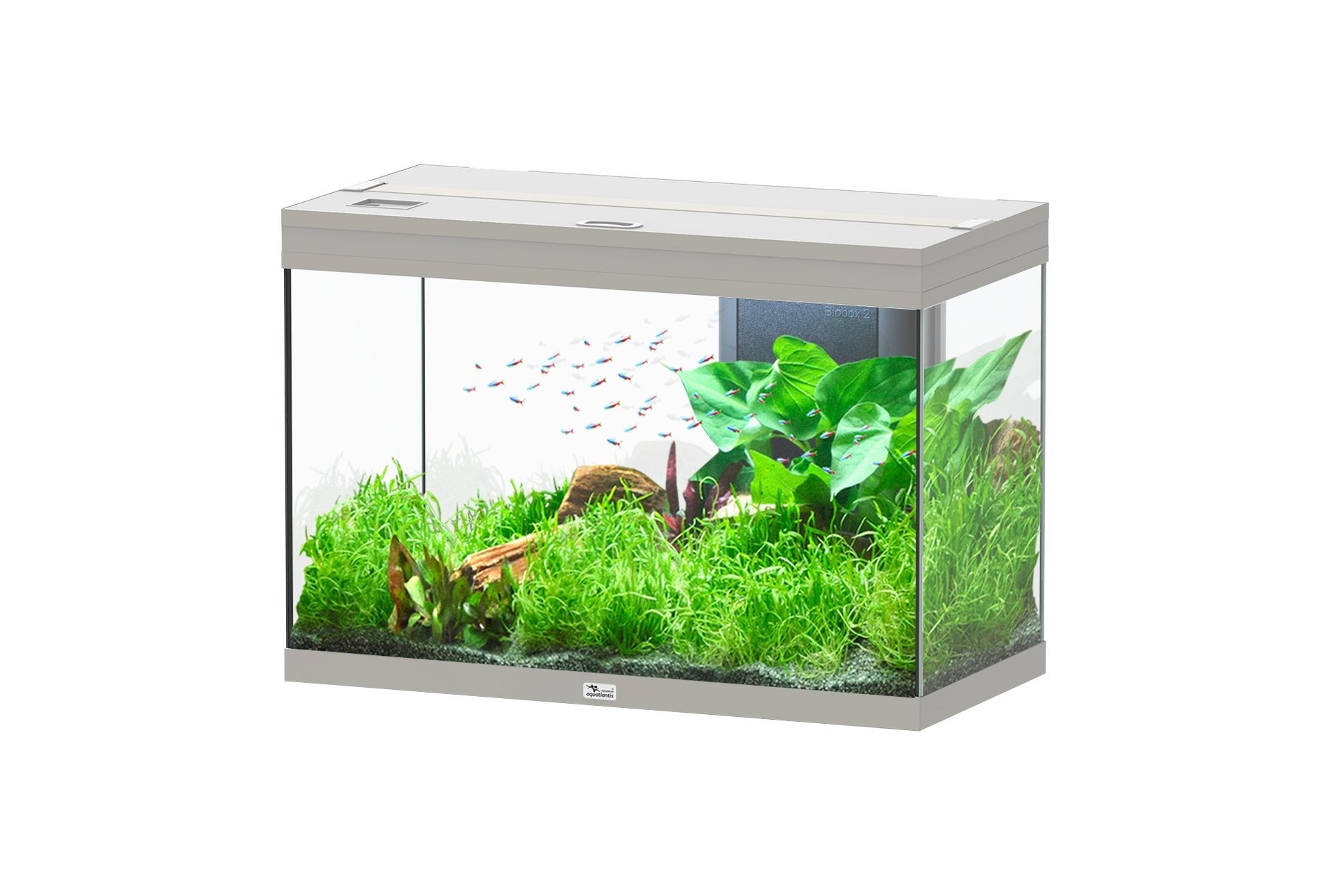 Aquatlantis Splendid Ultra 80 - Perfect Aquatics Ltd