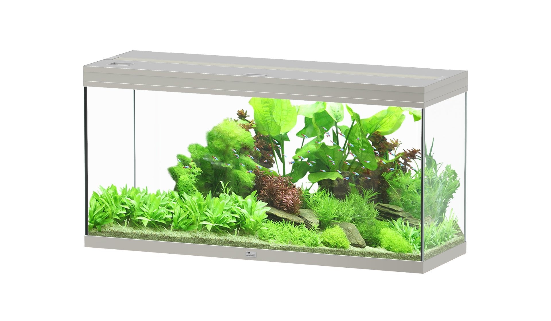 Aquatlantis Splendid Ultra 120 - Perfect Aquatics Ltd