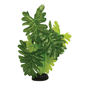 Hugo Indian Fern Silk 30Cm - Perfect Aquatics Ltd