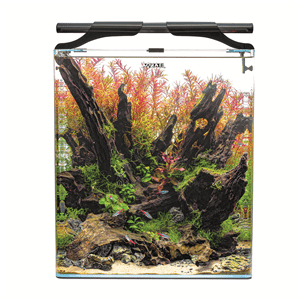 Aquael Optibent Aquarium Set - Perfect Aquatics Ltd