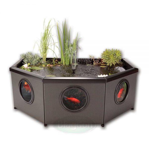 Blagdon Affinity Grand Half Moon Pool (Inpond 5 - in - 1 3000 UVC included) - Perfect Aquatics Ltd