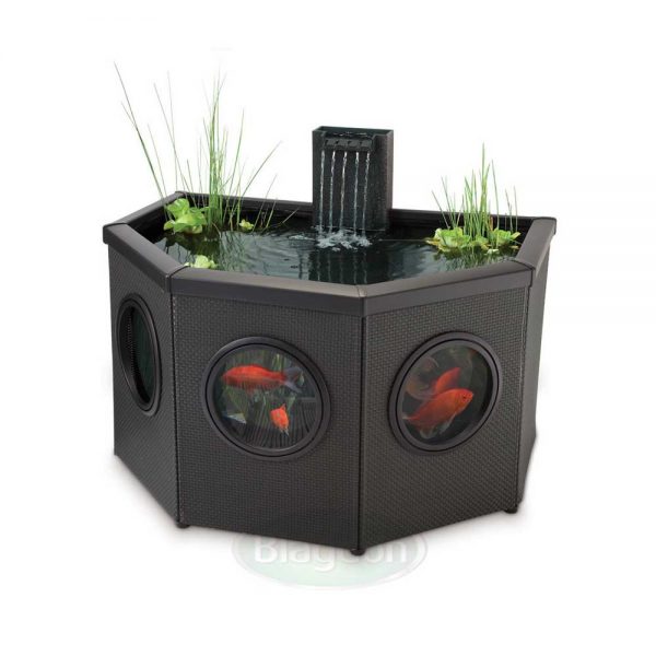Blagdon Affinity Mocha Half Moon Pool (Inpond 5 - in - 1 3000 UVC included) - Perfect Aquatics Ltd