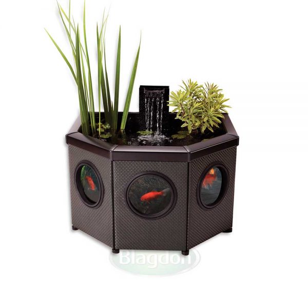 Blagdon Affinity View Half Moon Pool (Inpond 5 - in - 1 2000 included) - Perfect Aquatics Ltd
