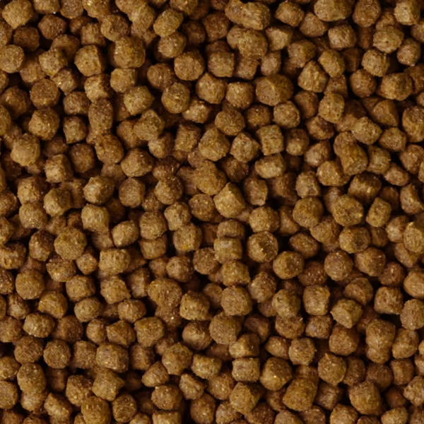 Shark Pond Food - Pellets 5mm