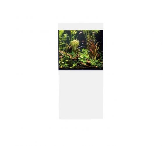 D - D Aqua - Pro Freshwater Cube 600 - Perfect Aquatics Ltd
