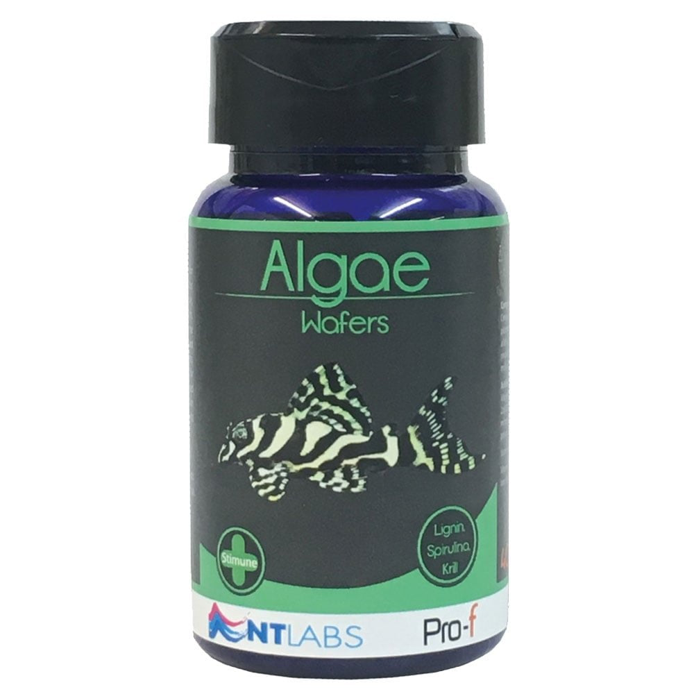 NT Labs Algae Wafers 40g