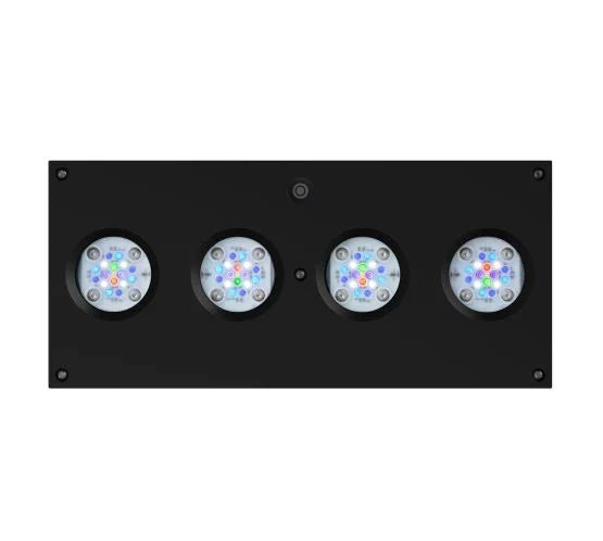 D - D Reef - Pro 1500s Deluxe - Clarisea Sump - Perfect Aquatics Ltd