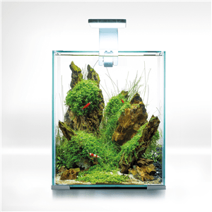 Aquael Day & Night Shrimp Set Aquarium - Perfect Aquatics Ltd