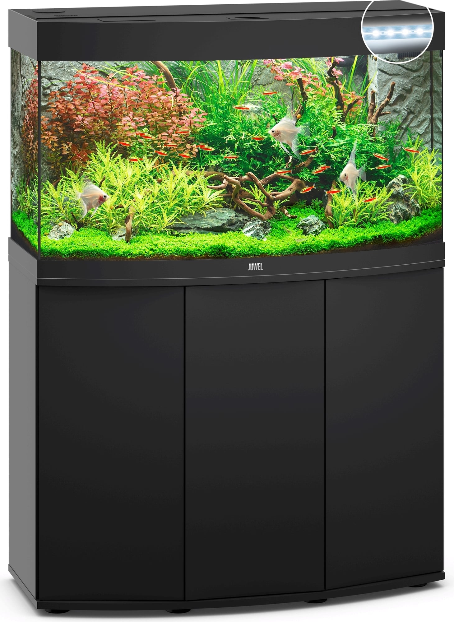 Juwel Vision 180 Tropical Aquarium and Cabinet - Perfect Aquatics Ltd