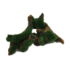 Hugo Aquascape Greenery 10 - 19Cm - Perfect Aquatics Ltd