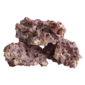 Caribsea Liferock 10Lb Box - Perfect Aquatics Ltd