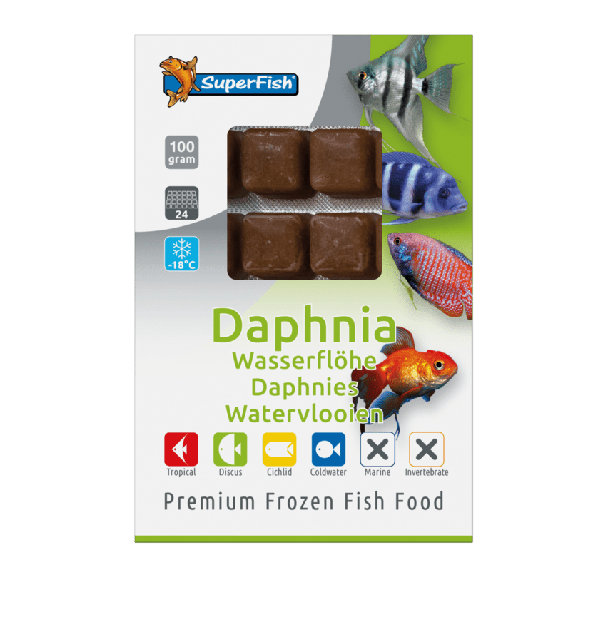 Superfish Frozen Daphnia Blister - Perfect Aquatics Ltd