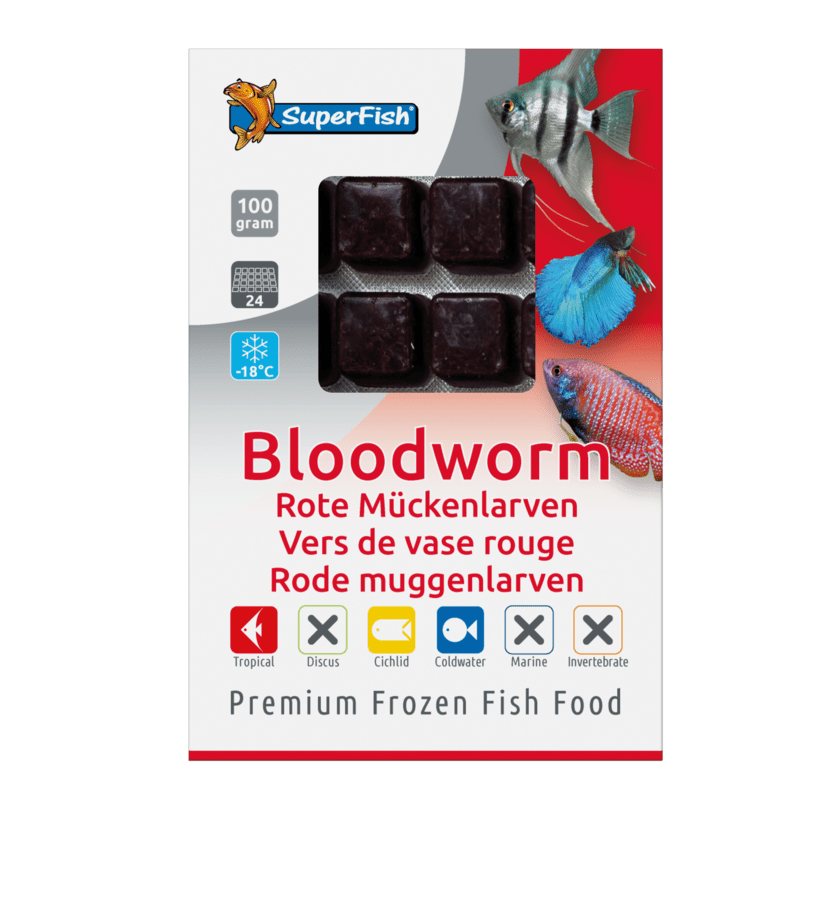 Superfish Frozen Bloodworm Blister - Perfect Aquatics Ltd