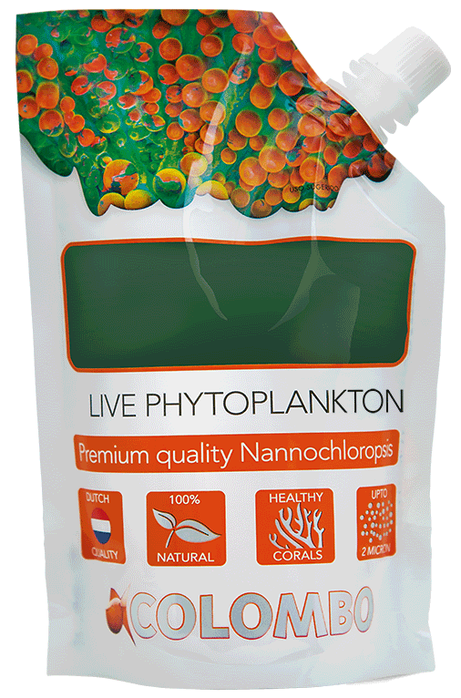 Colombo Live Phytoplankton - Perfect Aquatics Ltd