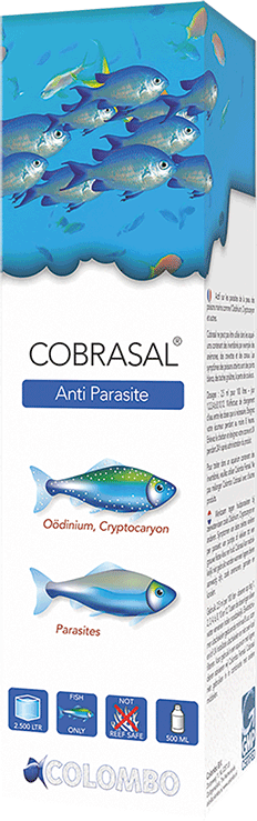 Colombo Cobrasol Anti - Parasite Treatment - Perfect Aquatics Ltd