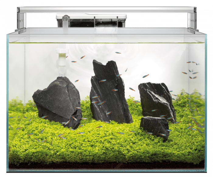 Superfish Scaper Tropical Aquarium - Perfect Aquatics Ltd