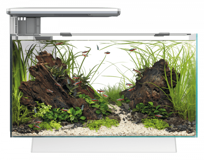 Superfish Quadro 40 Pro LED Aquarium - Perfect Aquatics Ltd