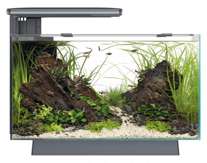 Superfish Quadro 40 Pro LED Aquarium - Perfect Aquatics Ltd
