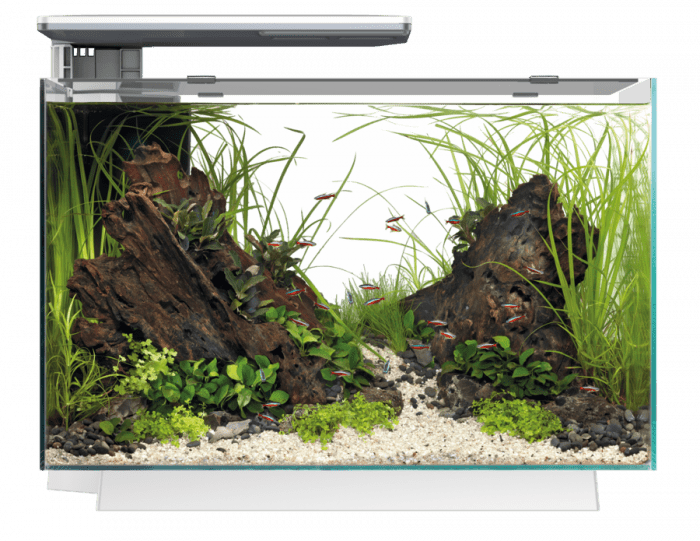 Superfish Quadro 70 Pro LED Aquarium - Perfect Aquatics Ltd