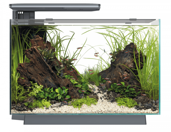 Superfish Quadro 70 Pro LED Aquarium - Perfect Aquatics Ltd