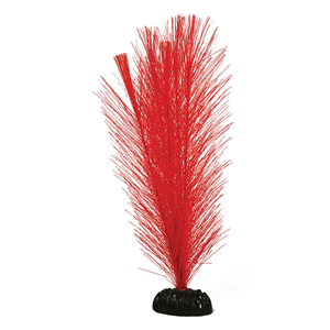 Hugo Fern Red Silk 20Cm - Perfect Aquatics Ltd