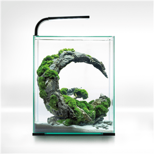 Aquael Day & Night Shrimp Set Aquarium - Perfect Aquatics Ltd