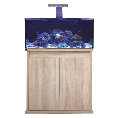 D - D Reef - Pro 900 Aquarium - Clarisea Ready Sump - Perfect Aquatics Ltd