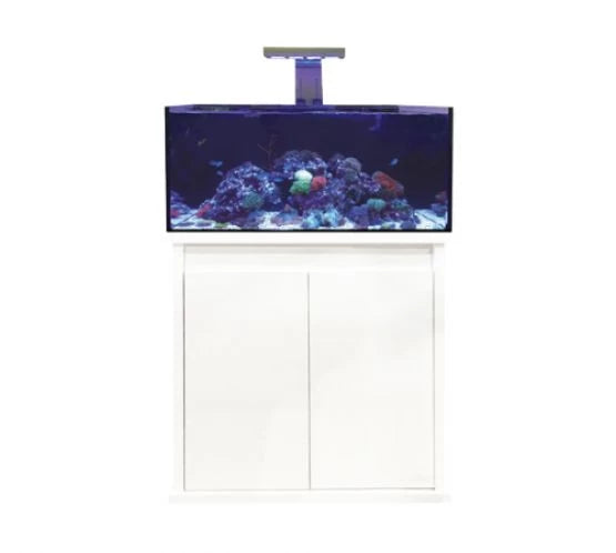 D-D Reef-Pro 900 Deluxe - Standard Sump