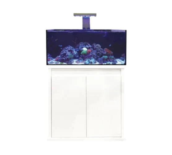 D-D Reef-Pro 900 Deluxe - Clarisea Sump