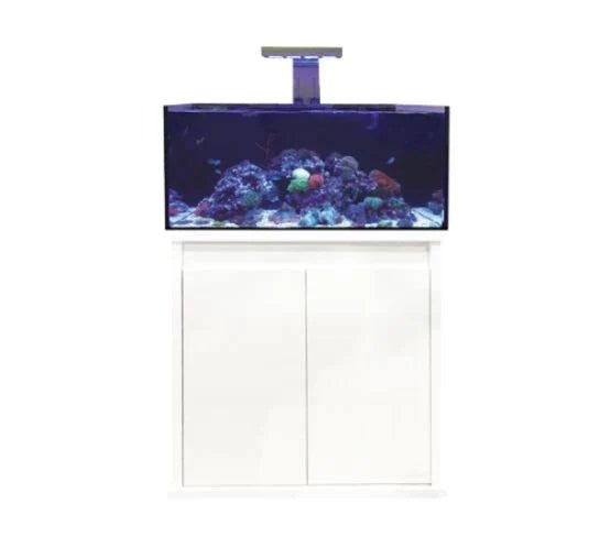 D - D Reef - Pro 900 Deluxe - Clarisea Sump - Perfect Aquatics Ltd