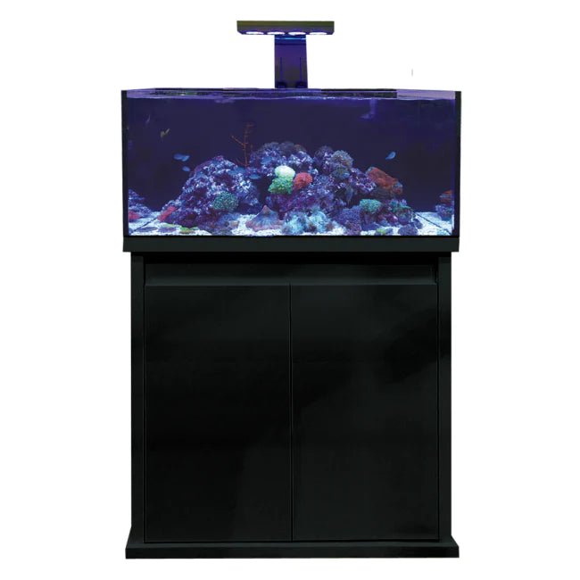 D - D Reef - Pro 900 Aquarium - Clarisea Ready Sump - Perfect Aquatics Ltd