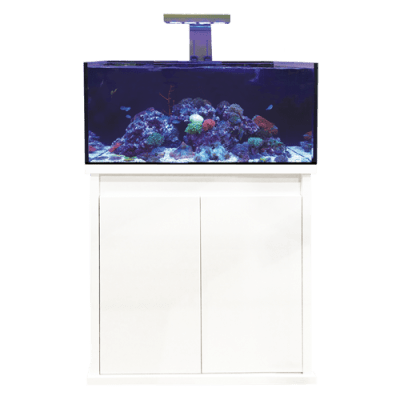 D - D Reef - Pro 900 Aquarium - Clarisea Ready Sump - Perfect Aquatics Ltd