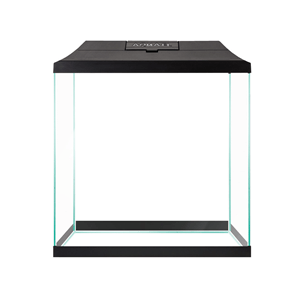 Aquael Leddy Mini Aquarium - Perfect Aquatics Ltd