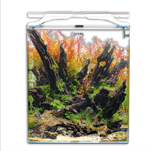 Aquael Optibent Aquarium Set - Perfect Aquatics Ltd