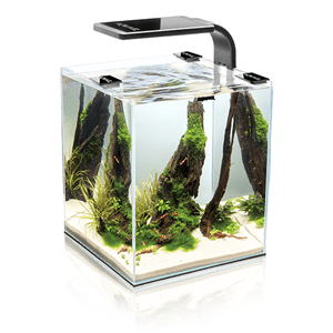 Aquael Day & Night Shrimp Set Aquarium - Perfect Aquatics Ltd