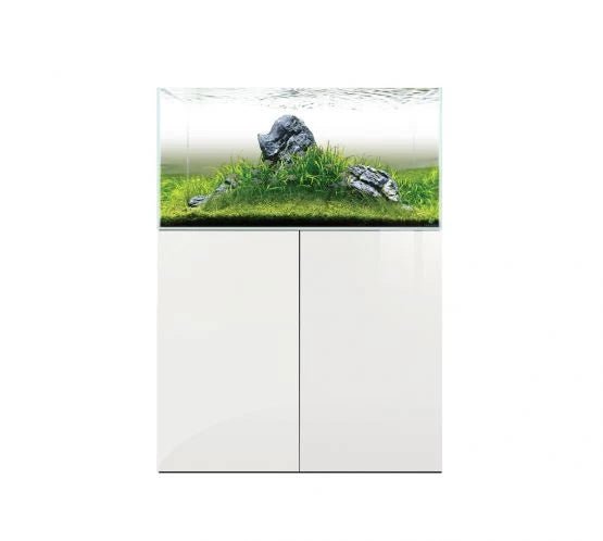 D - D Aqua - Pro Aquascaper 900 - Perfect Aquatics Ltd