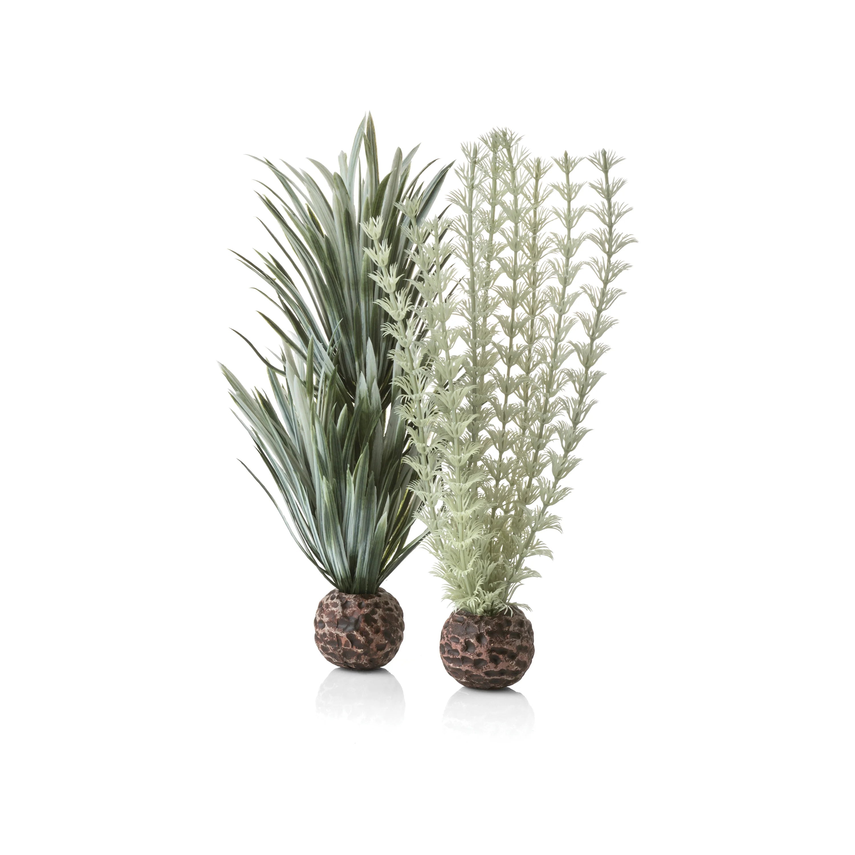 BiOrb Grey/Green Ambulia Plant Set - Small