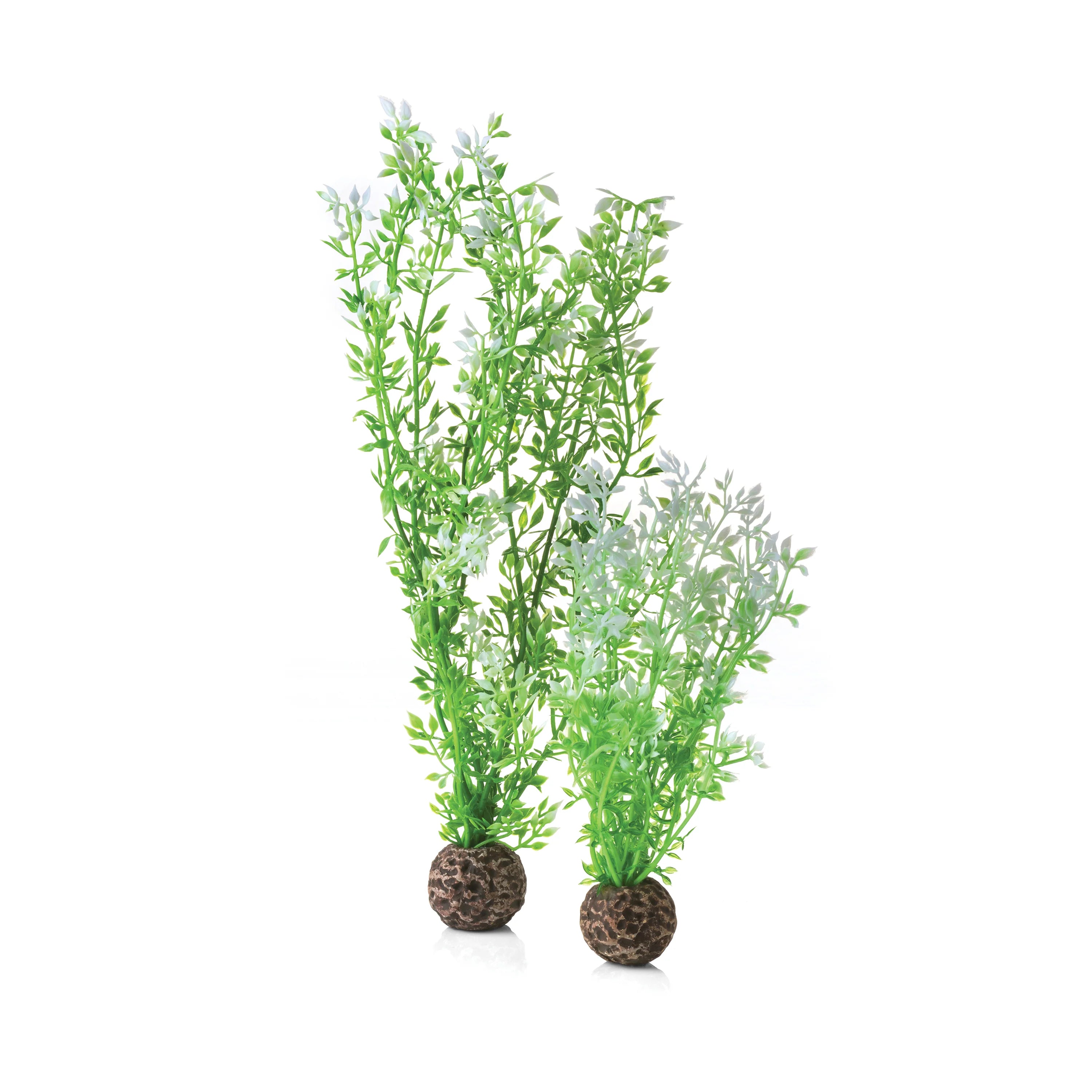 BiOrb Winter Flower Plant Set - Perfect Aquatics Ltd