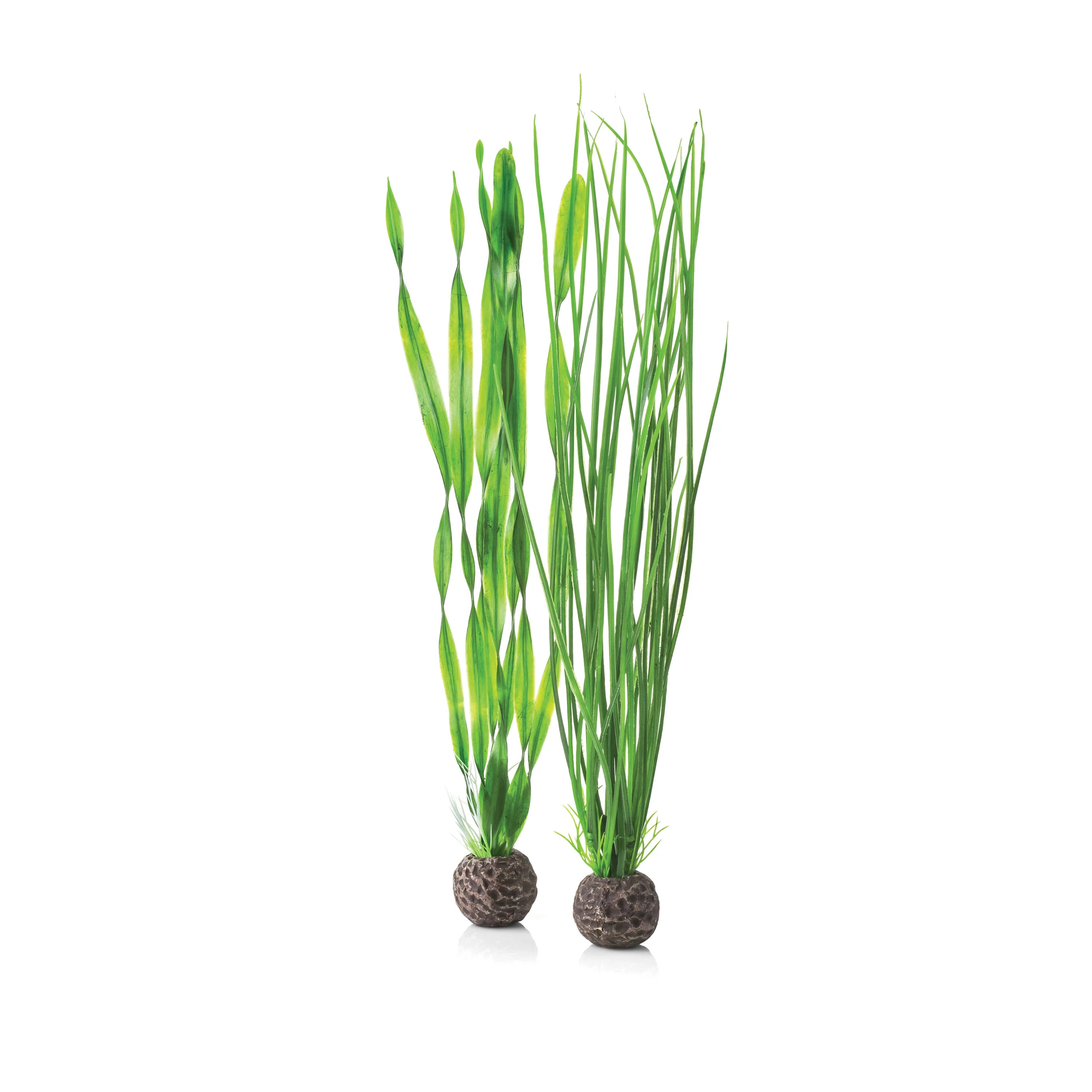 BiOrb Easy Plant Set - Large Green - Perfect Aquatics Ltd