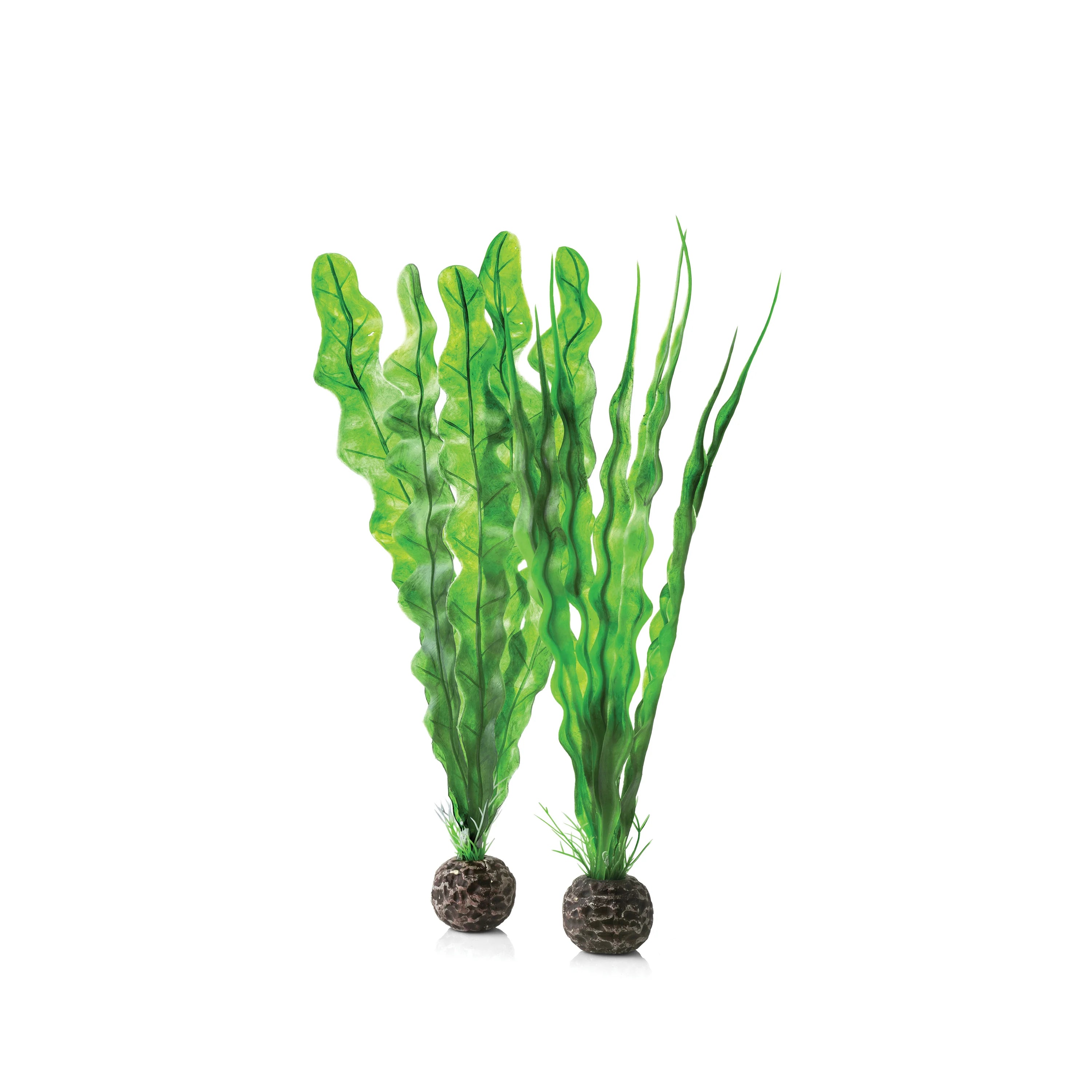 BiOrb Easy Plant Set, Medium Green