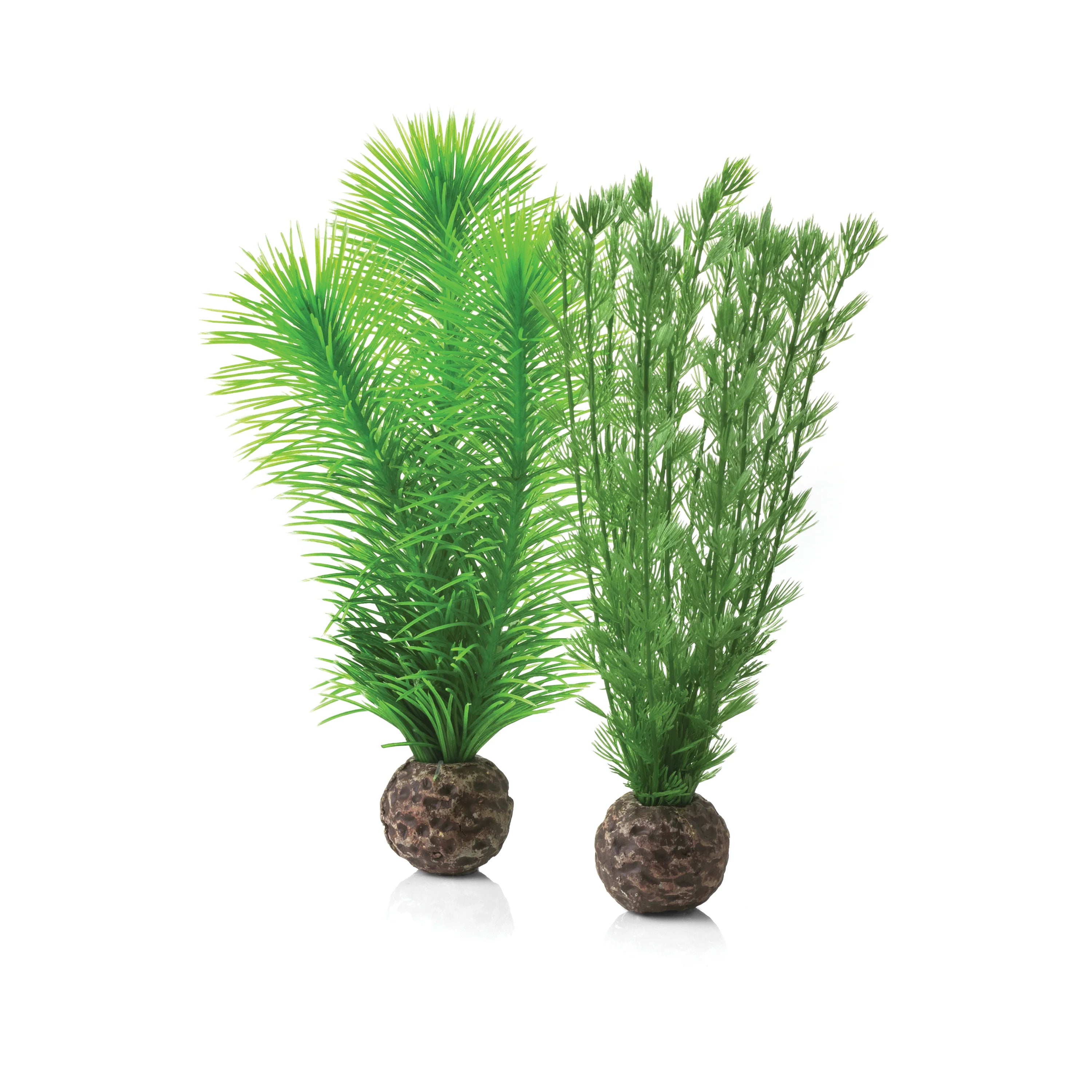 BiOrb Green Feather Fern Plant Set - Small - Perfect Aquatics Ltd