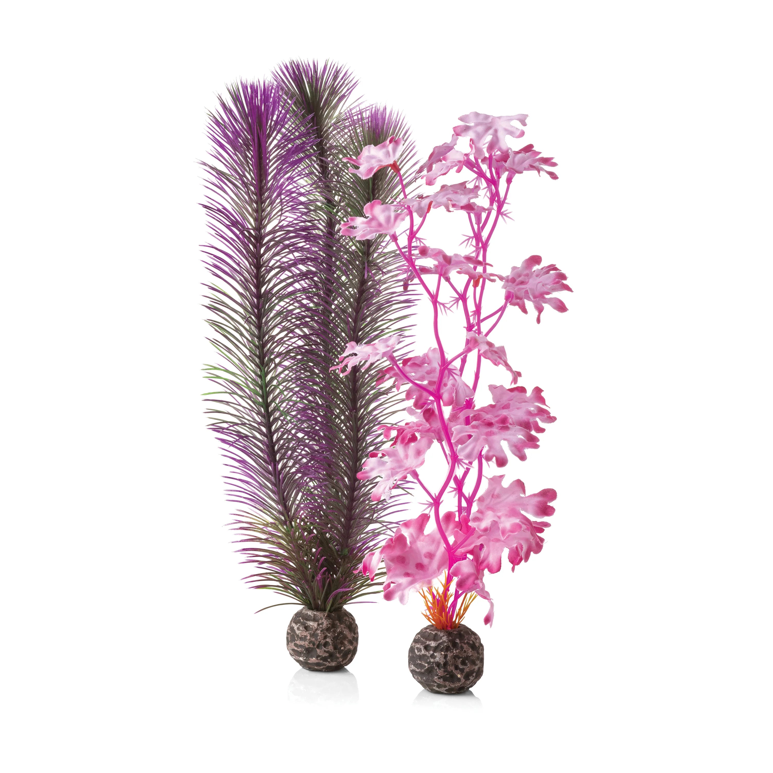 BiOrb Medium Kelp Plant Set - Perfect Aquatics Ltd