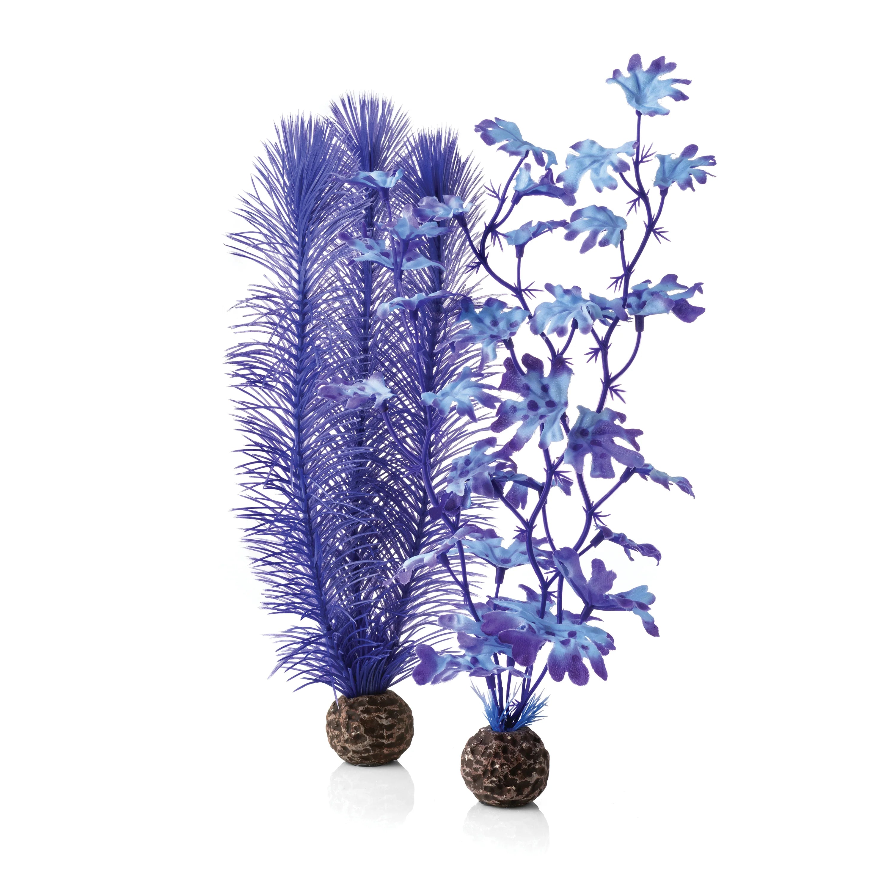 BiOrb Medium Kelp Plant Set - Perfect Aquatics Ltd