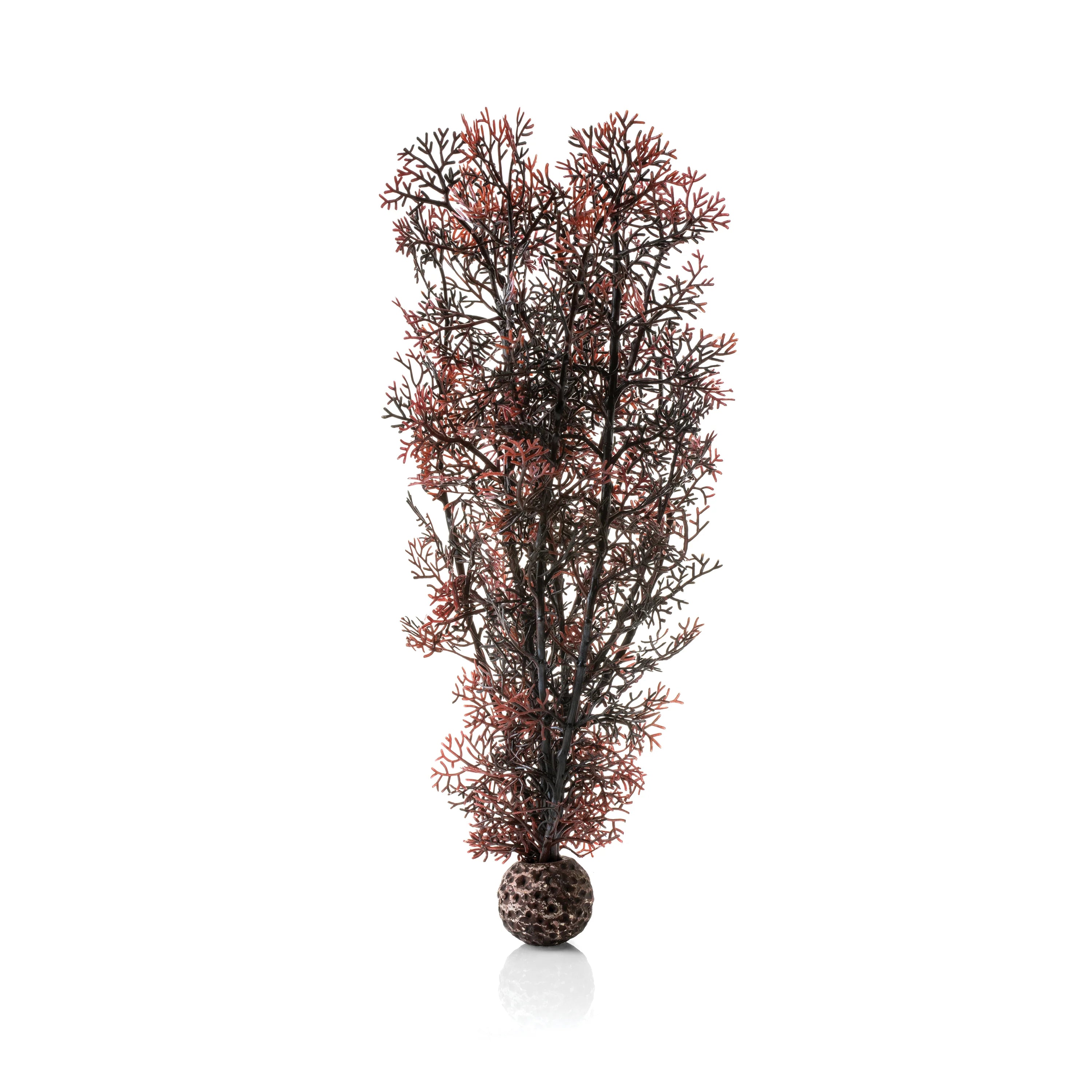 BiOrb Large Sea Fan - Perfect Aquatics Ltd